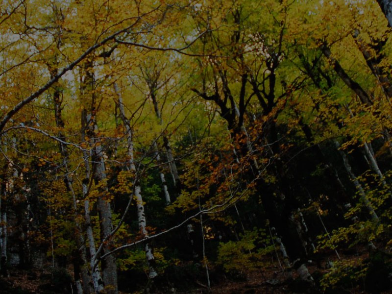 100ème anniversaire